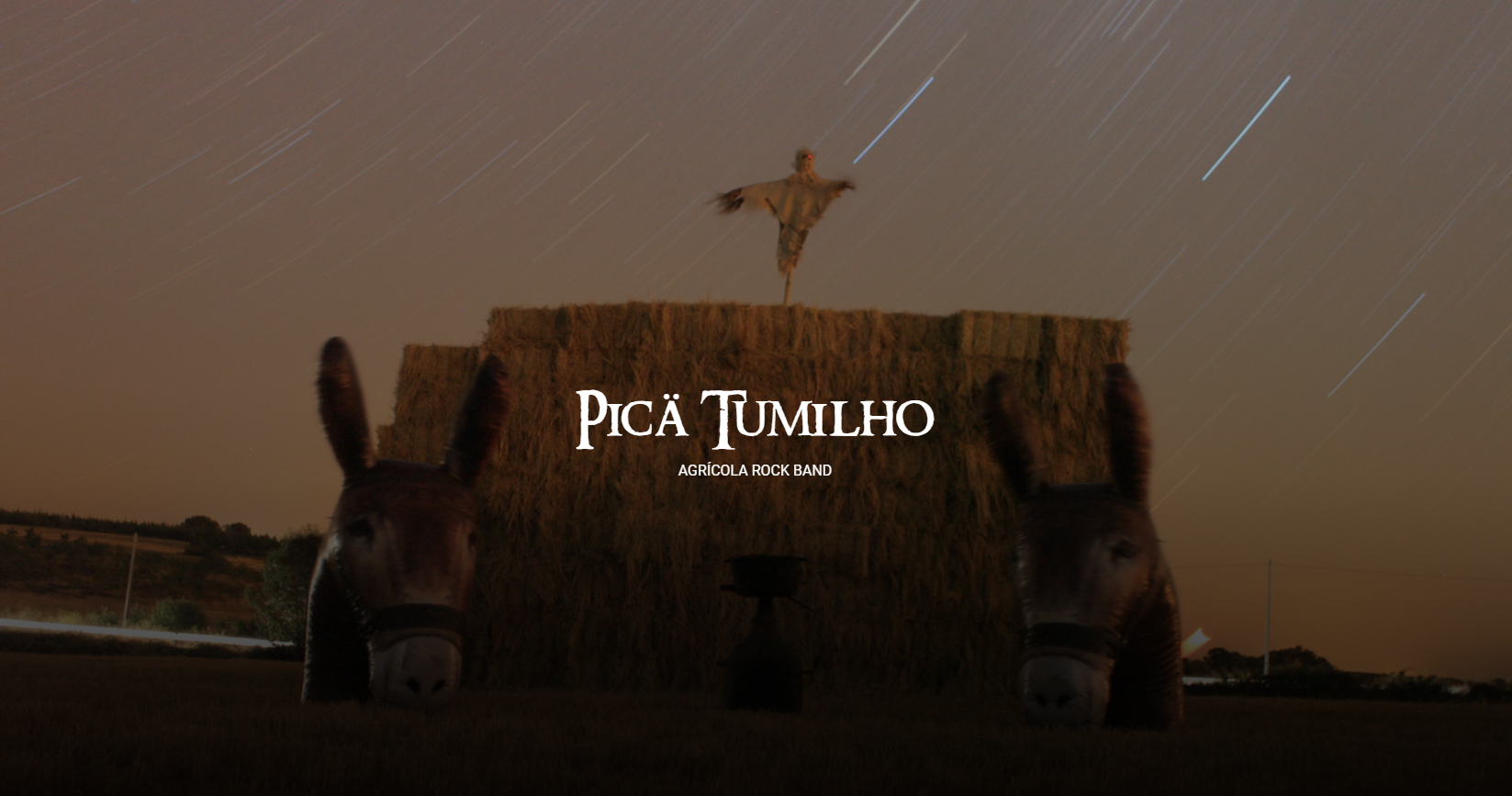 (c) Picatumilho.com